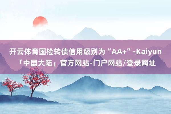 开云体育国检转债信用级别为“AA+”-Kaiyun「中国大陆」官方网站-门户网站/登录网址